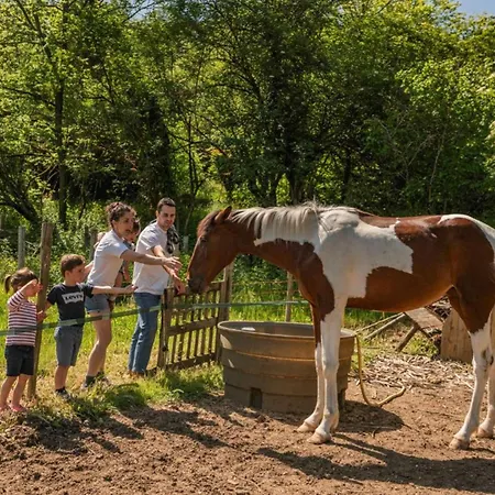 Cabane, Animaux Ok - 5 Pers. - Api-1-52-2629 مكان تخييم