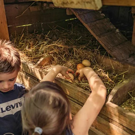 Cabane, Animaux Ok - 5 Pers. - Api-1-52-2629 * Saint-Amand-de-Coly